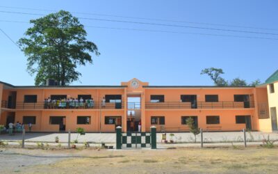 Tudor Primary School